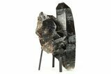 Dark Smoky Quartz Crystal Cluster on Metal Stand - Brazil #274463-2